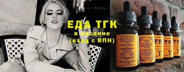 индика Верхний Тагил