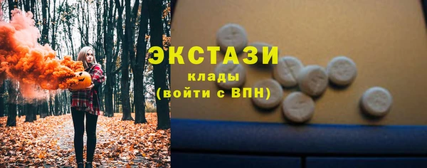 индика Верхний Тагил